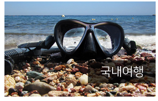 드림투어고속관광갤러리