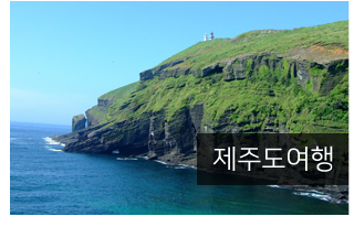 드림투어고속관광문의사항
